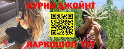 сатива Дубна