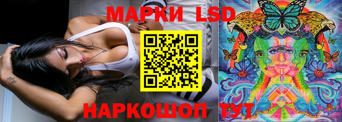 где купить наркотик  Марки 25I-NBOMe 1,8мг  Марки 25I-NBOMe 1,8мг  Марки 25I-NBOMe  Вход с VPN  Королёв 